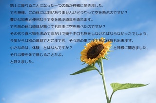 この空を.jpg